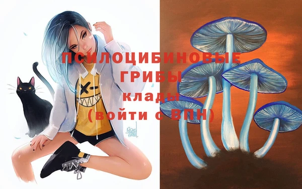 кокаин Алексин