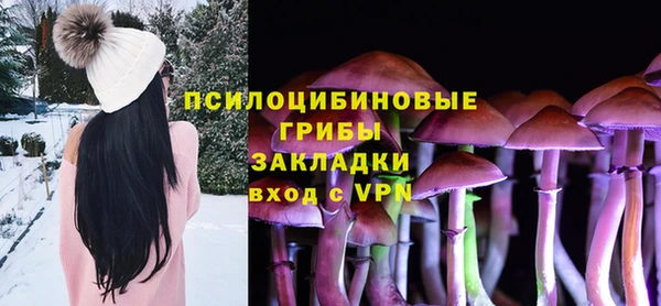 apvp Алексеевка