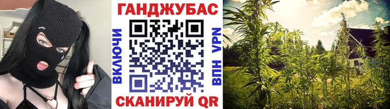 Канабис ГИДРОПОН Канаш